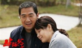 半路父子电视剧在线观看,跨越血缘的亲情之旅