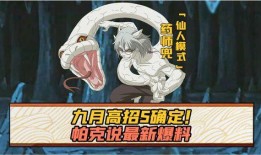 帕克最新爆料图片高清壁纸,揭秘神秘画面背后的故事