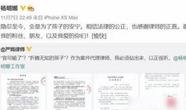 演员妻子爆料视频播放网站,视频播放网站背后的惊人内幕